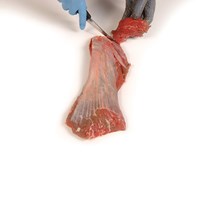 Meat Cut Spec Step 5